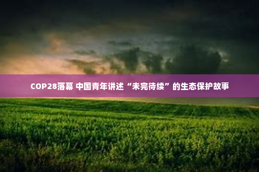 COP28落幕 中国青年讲述“未完待续”的生态保护故事