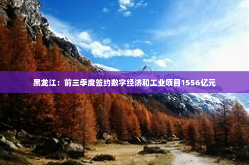 黑龙江：前三季度签约数字经济和工业项目1556亿元